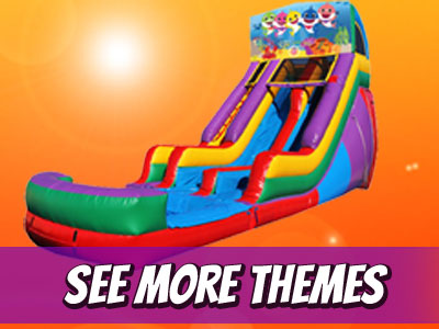 18' Double Lane Water Slide